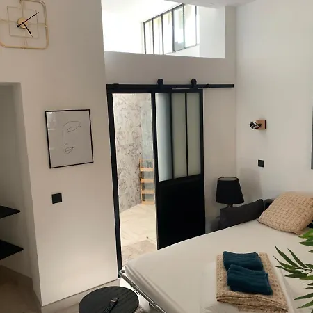 Loft 40m2 De Charme * Perpignan