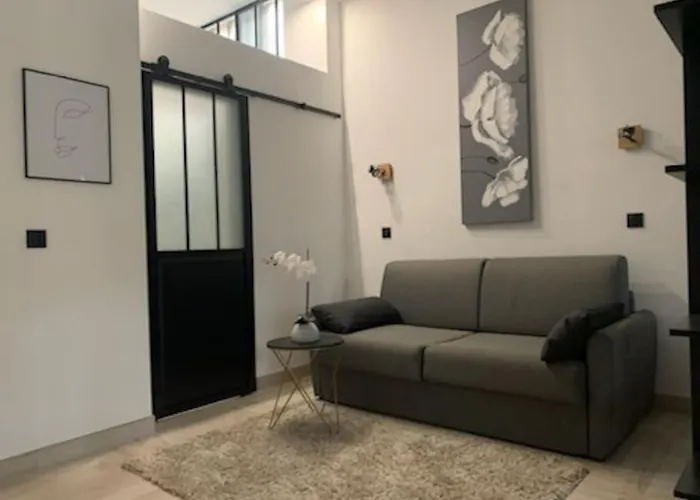 Loft 40m2 De Charme Appartement *